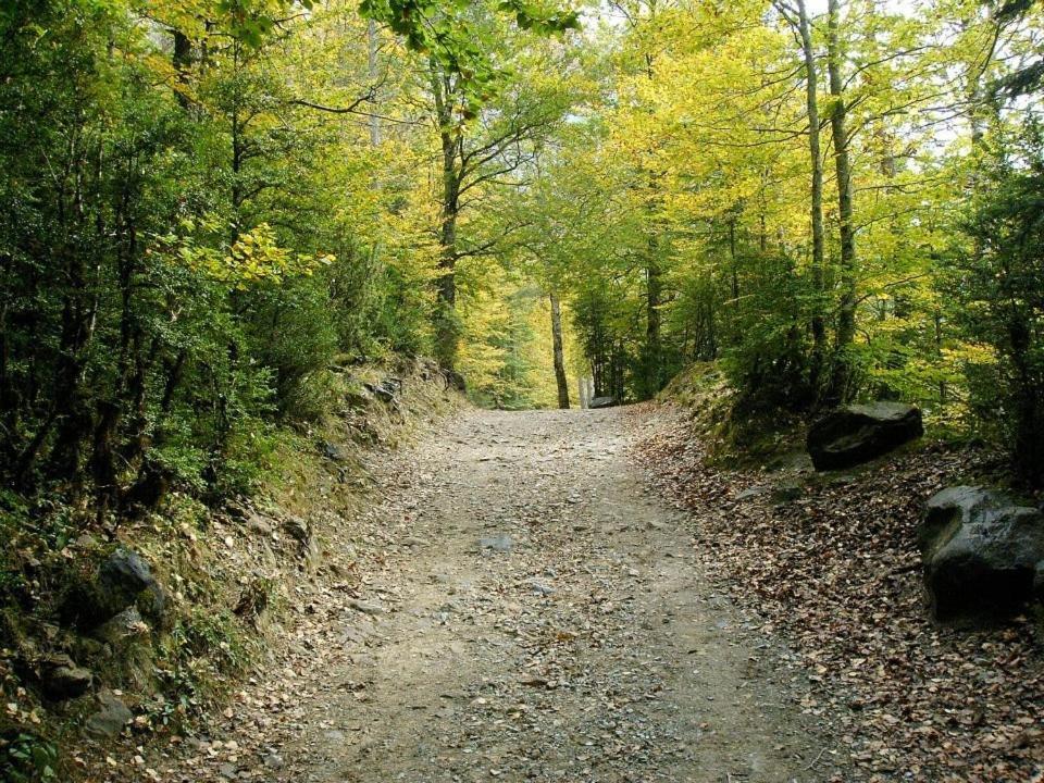 Apartamentos Pirineos Ordesa El Pueyo de Araguas Екстер'єр фото